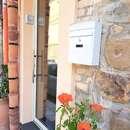 Apartament I Catusi *